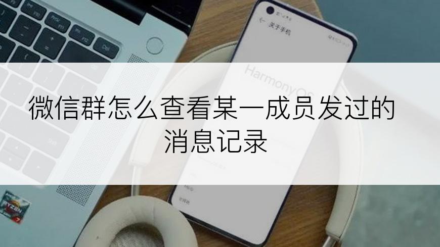 微信群怎么查看某一成员发过的消息记录