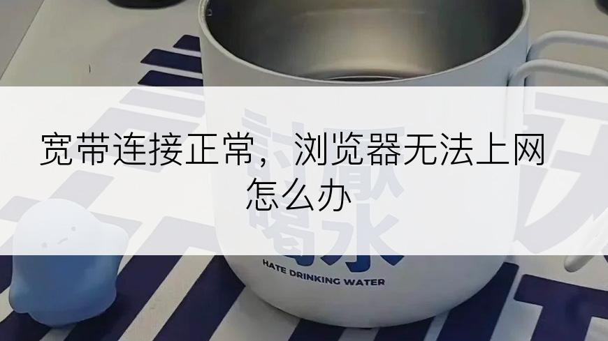 宽带连接正常，浏览器无法上网怎么办