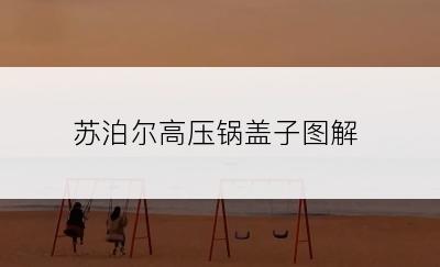 苏泊尔高压锅盖子图解