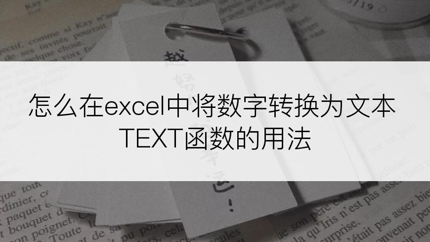 怎么在excel中将数字转换为文本 TEXT函数的用法