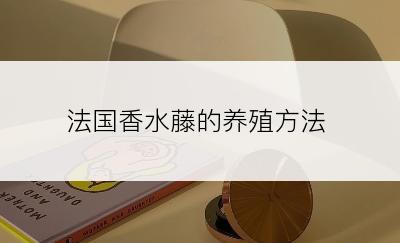 法国香水藤的养殖方法