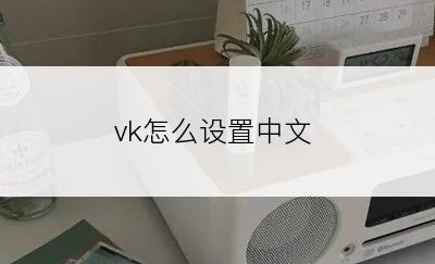 vk怎么设置中文