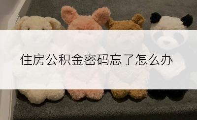 住房公积金密码忘了怎么办