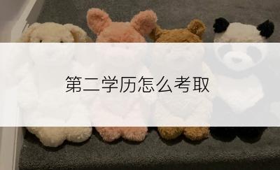 第二学历怎么考取