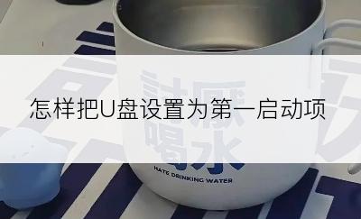 怎样把U盘设置为第一启动项