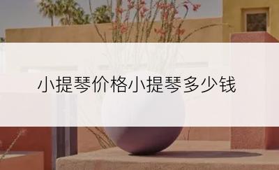 小提琴价格小提琴多少钱