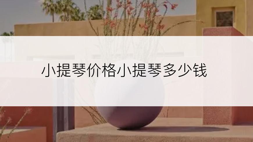 小提琴价格小提琴多少钱