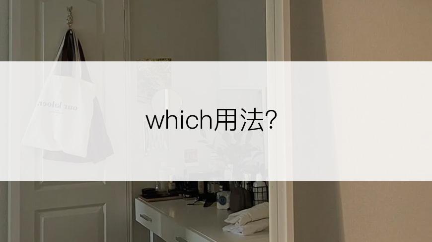 which用法？