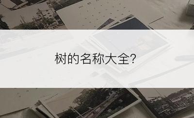 树的名称大全？