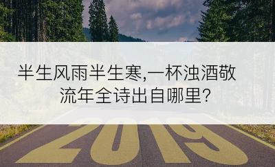 半生风雨半生寒,一杯浊酒敬流年全诗出自哪里？