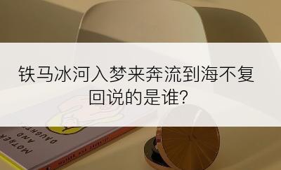 铁马冰河入梦来奔流到海不复回说的是谁？