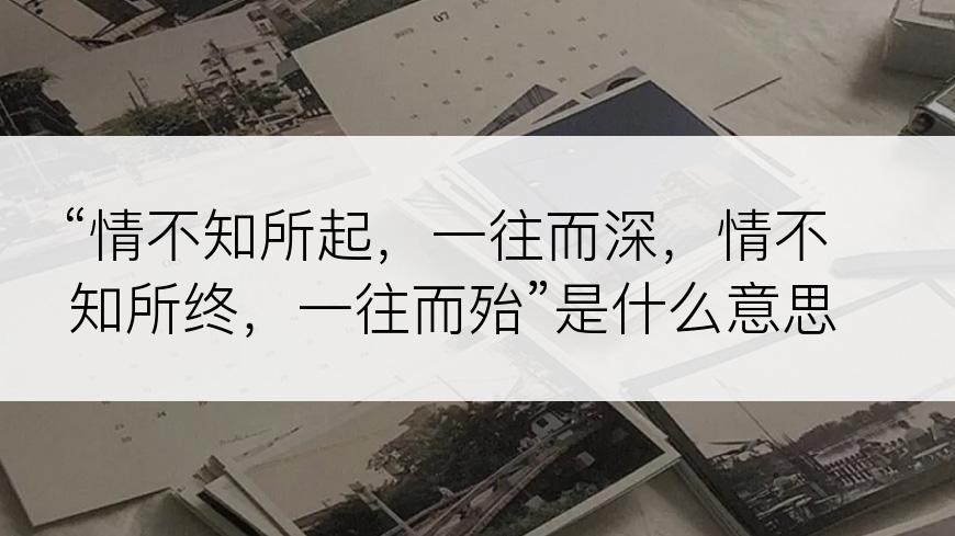 “情不知所起，一往而深，情不知所终，一往而殆”是什么意思？