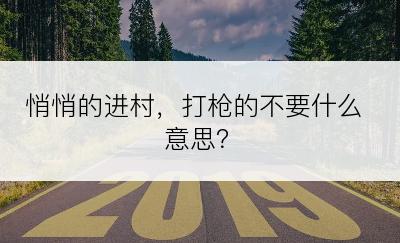 悄悄的进村，打枪的不要什么意思？