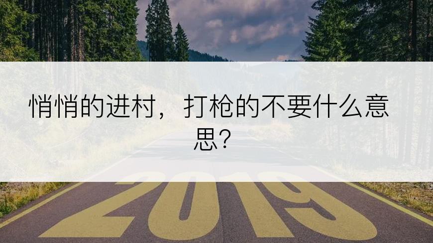 悄悄的进村，打枪的不要什么意思？