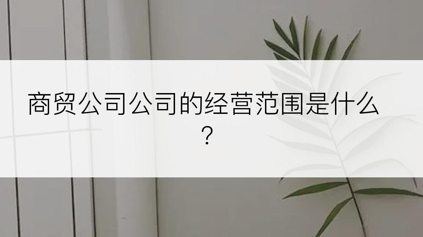 商贸公司公司的经营范围是什么？