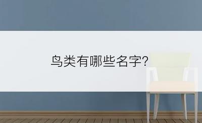 鸟类有哪些名字？