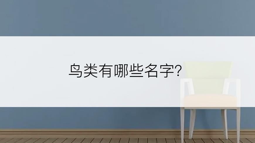 鸟类有哪些名字？