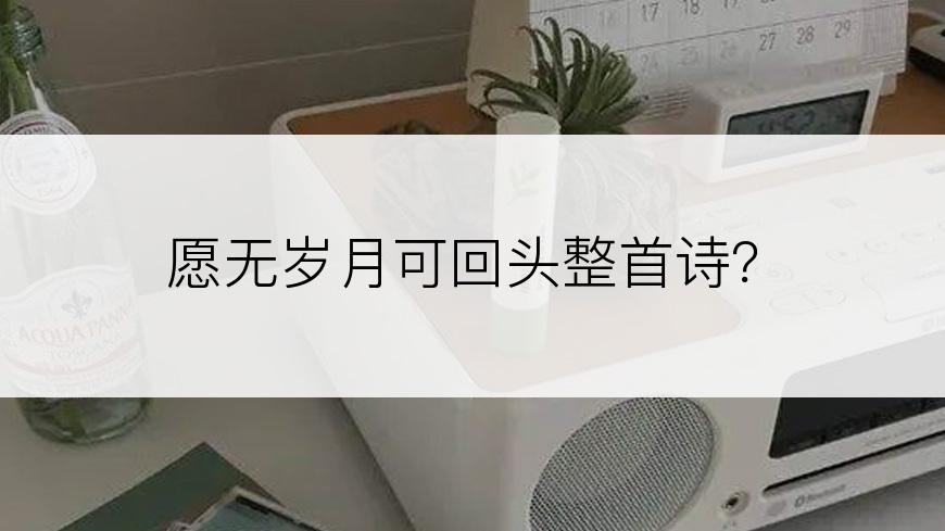 愿无岁月可回头整首诗？