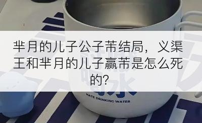 芈月的儿子公子芾结局，义渠王和芈月的儿子赢芾是怎么死的？