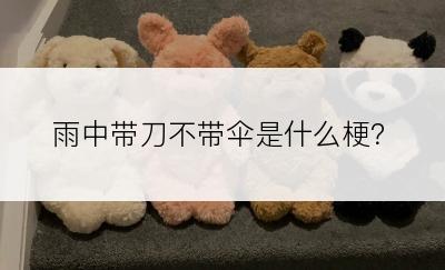 雨中带刀不带伞是什么梗？