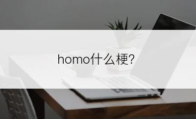 homo什么梗？