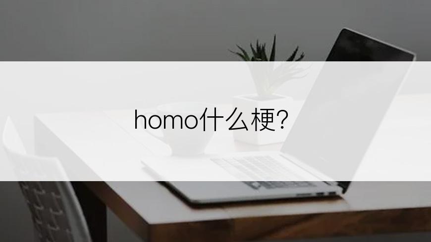 homo什么梗？