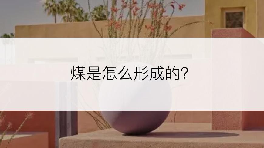 煤是怎么形成的？