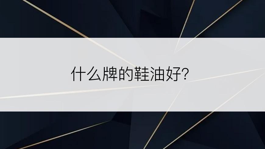 什么牌的鞋油好？