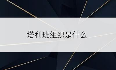 塔利班组织是什么