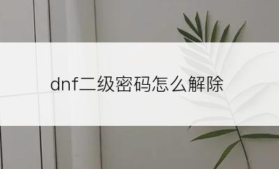 dnf二级密码怎么解除