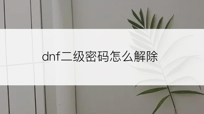 dnf二级密码怎么解除