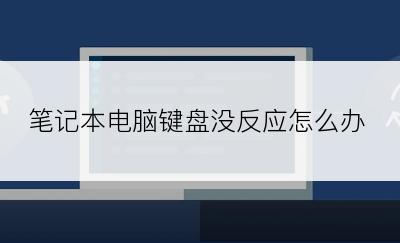 笔记本电脑键盘没反应怎么办