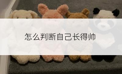 怎么判断自己长得帅