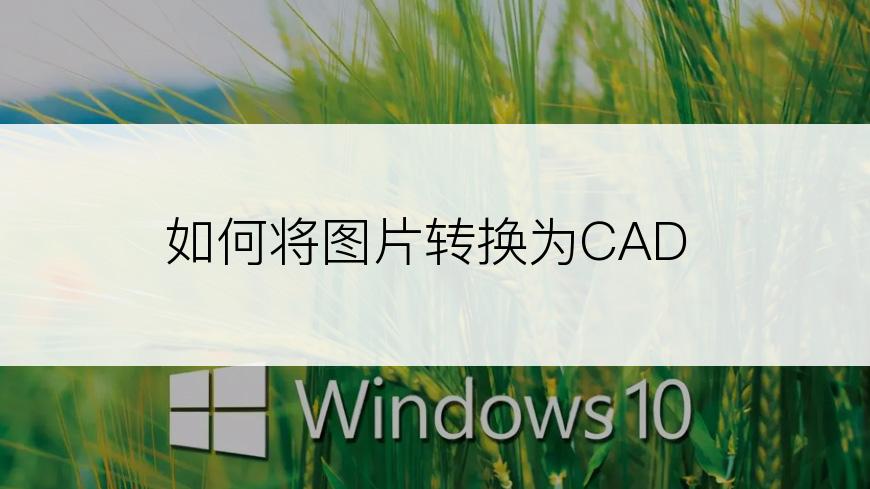 如何将图片转换为CAD