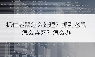 抓住老鼠怎么处理？抓到老鼠怎么弄死？怎么办