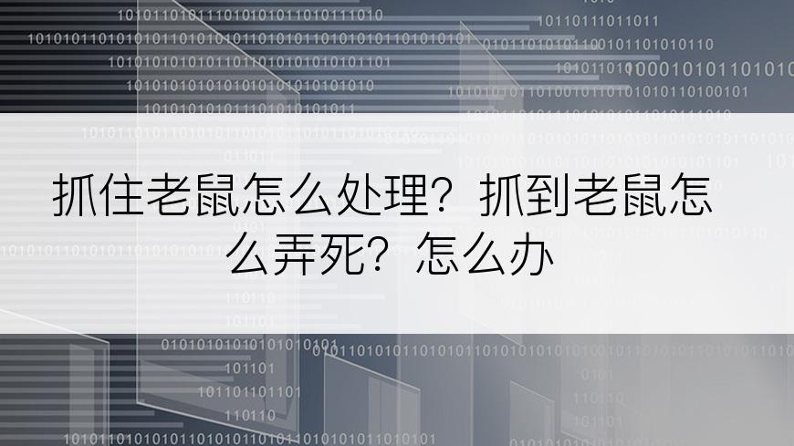 抓住老鼠怎么处理？抓到老鼠怎么弄死？怎么办