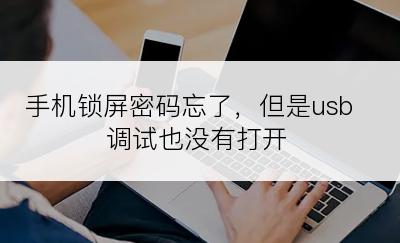 手机锁屏密码忘了，但是usb调试也没有打开