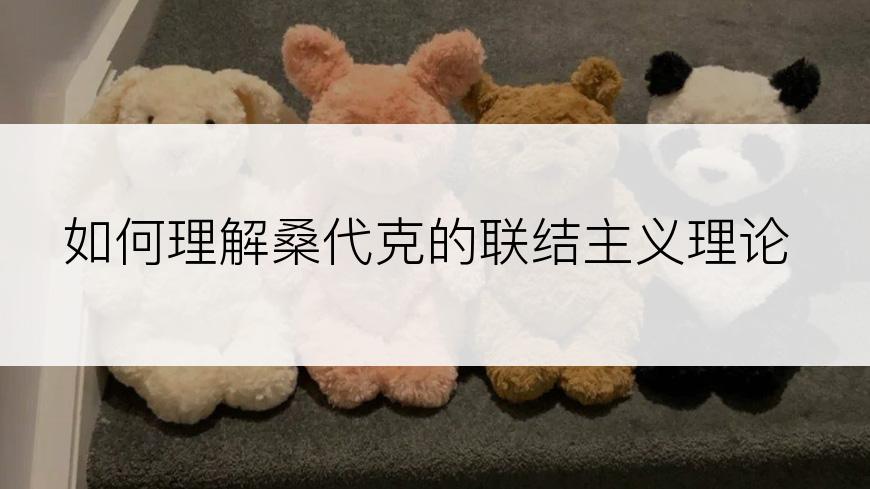 如何理解桑代克的联结主义理论