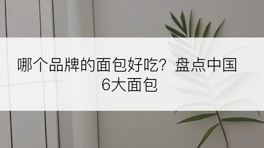 哪个品牌的面包好吃？盘点中国6大面包