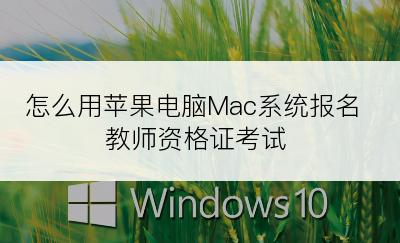 怎么用苹果电脑Mac系统报名教师资格证考试