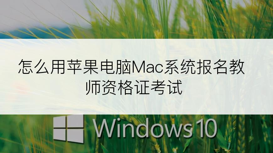 怎么用苹果电脑Mac系统报名教师资格证考试