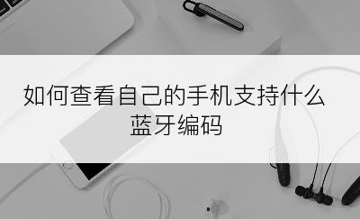 如何查看自己的手机支持什么蓝牙编码