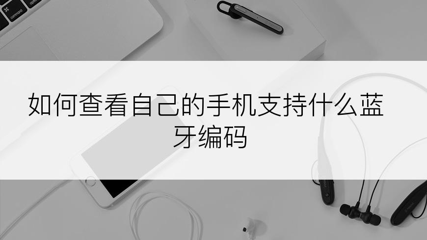 如何查看自己的手机支持什么蓝牙编码