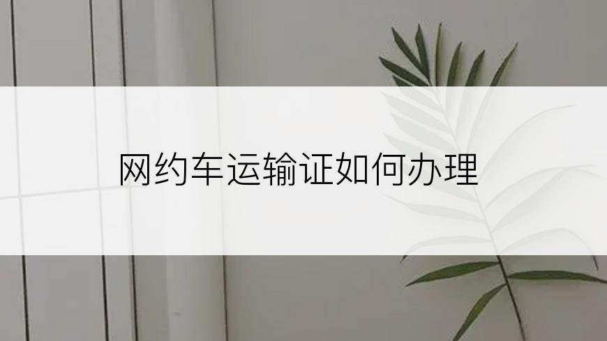 网约车运输证如何办理