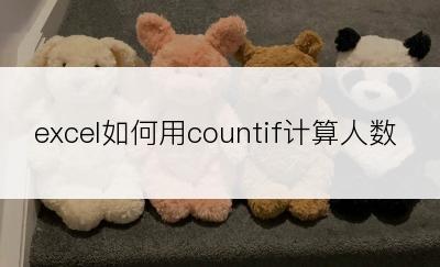 excel如何用countif计算人数