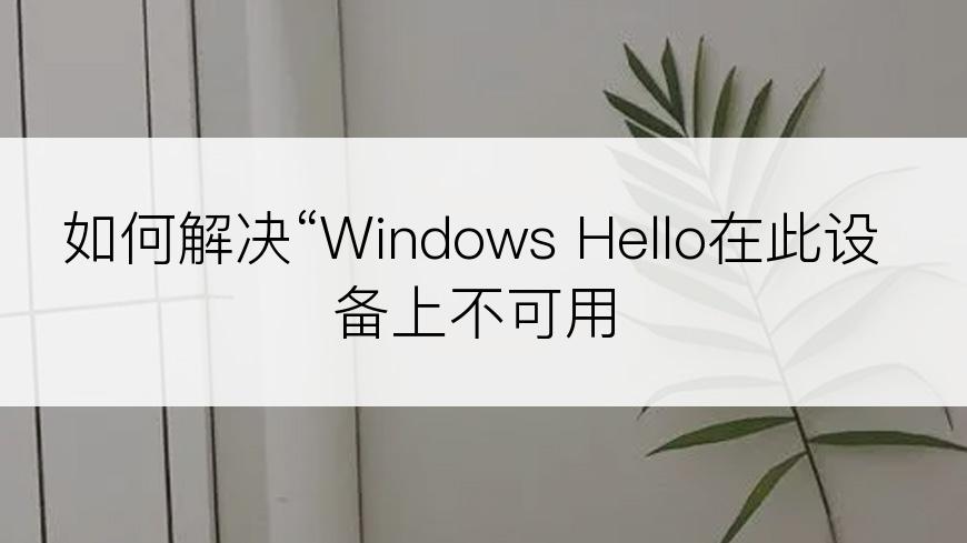 如何解决“Windows Hello在此设备上不可用