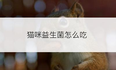 猫咪益生菌怎么吃