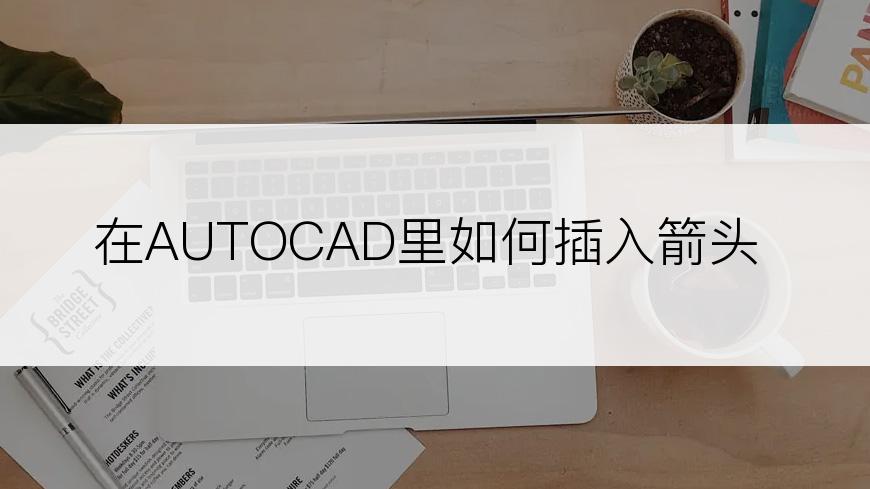 在AUTOCAD里如何插入箭头