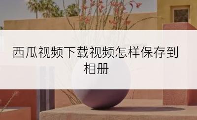 西瓜视频下载视频怎样保存到相册