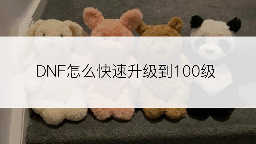 DNF怎么快速升级到100级